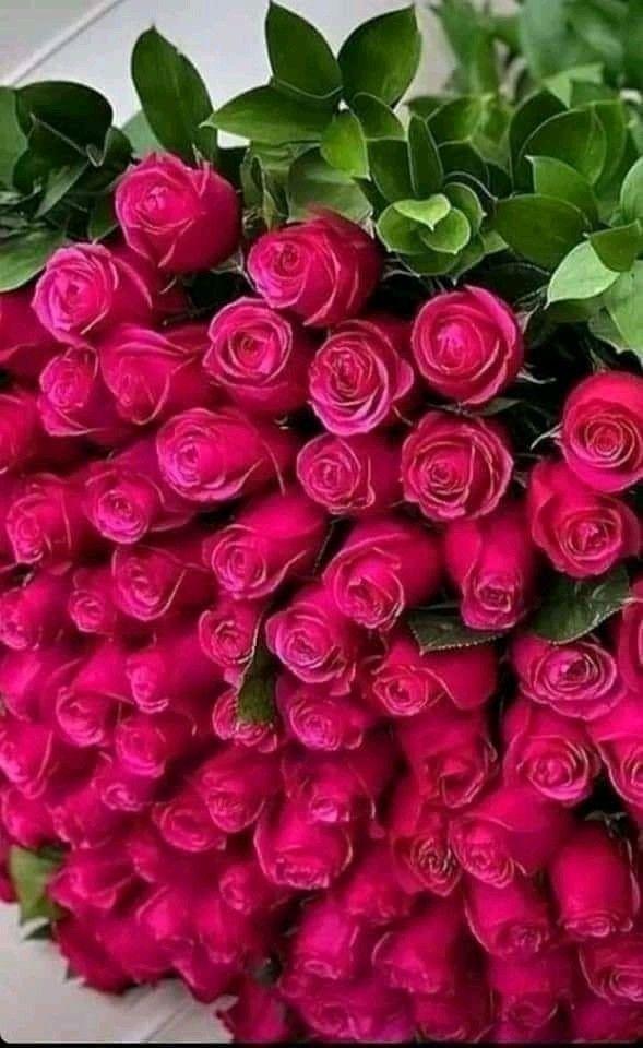 Echoes of the Floral Symphony